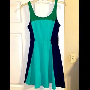 NWT Express color block skater dress